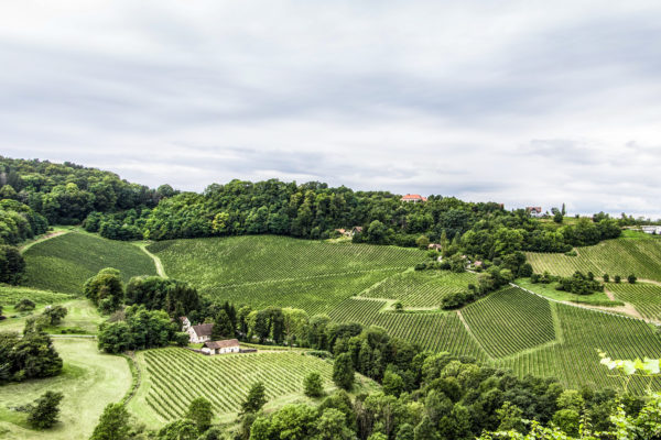 Ried Grassnitzberg